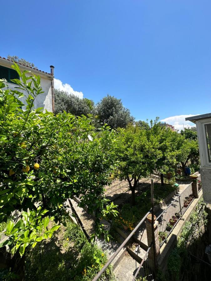 Casa Vittoria Daire Vietri Dış mekan fotoğraf